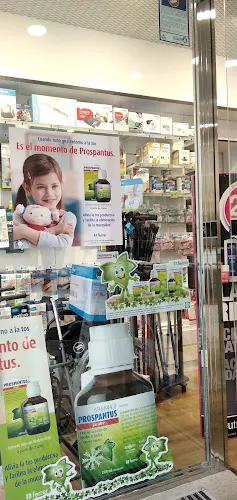 Vidal Rocha Claudia