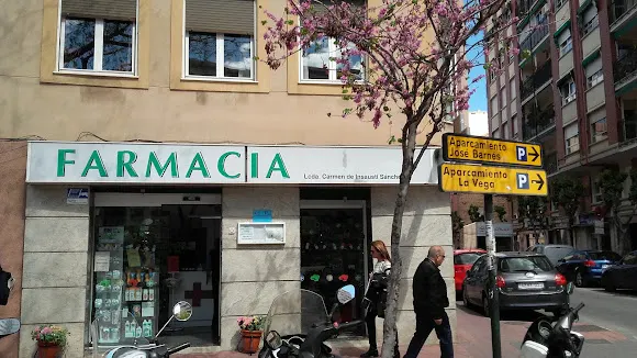 Insausti Sánchez María Del Carmen