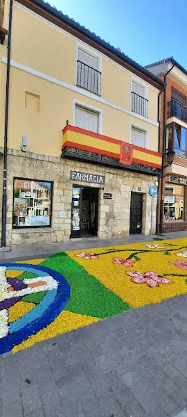 IRENE FERNÁNDEZ MARTÍNEZ - Farmacia en Carrion de los Condes - foto 2