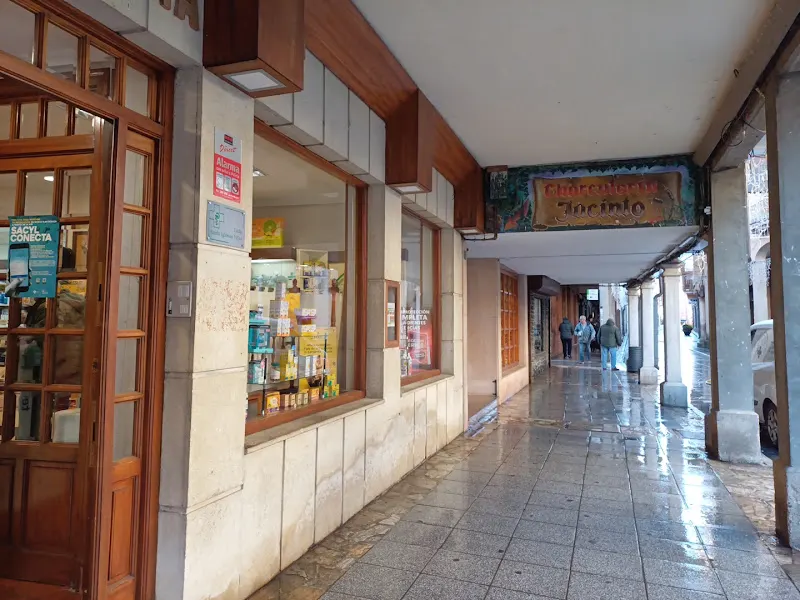 Fernández González Lourdes - Farmacia en Cervera de Pisuerga - foto 2