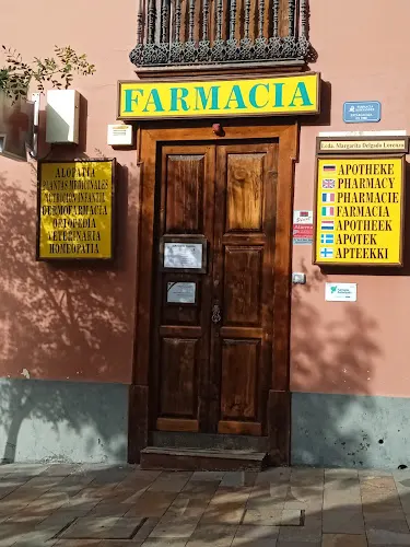 Lcda Dña Margarita Delgado Lorenzo